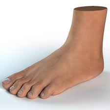 foot.jpg