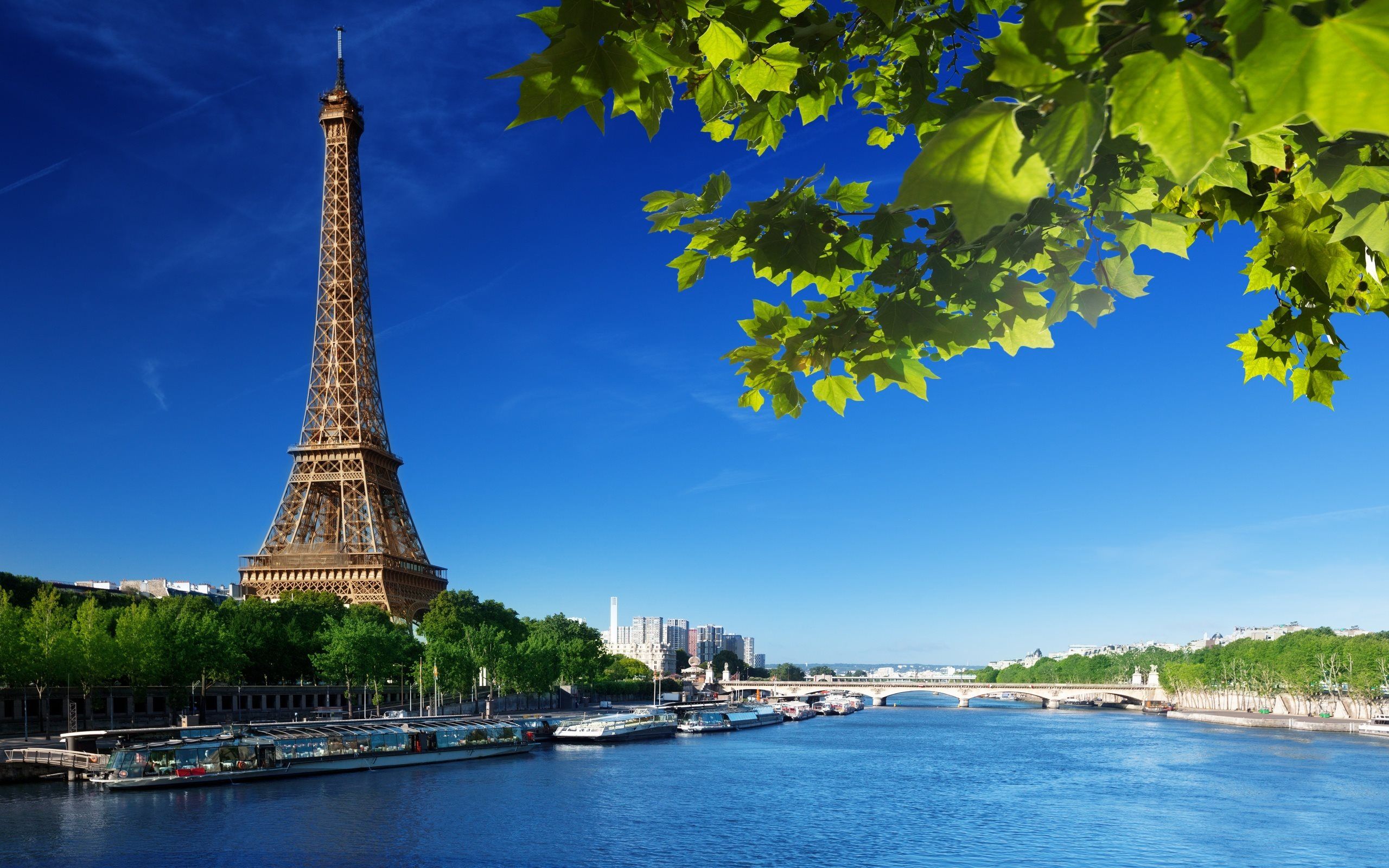 Tour-Eiffel-and-Seine.jpg