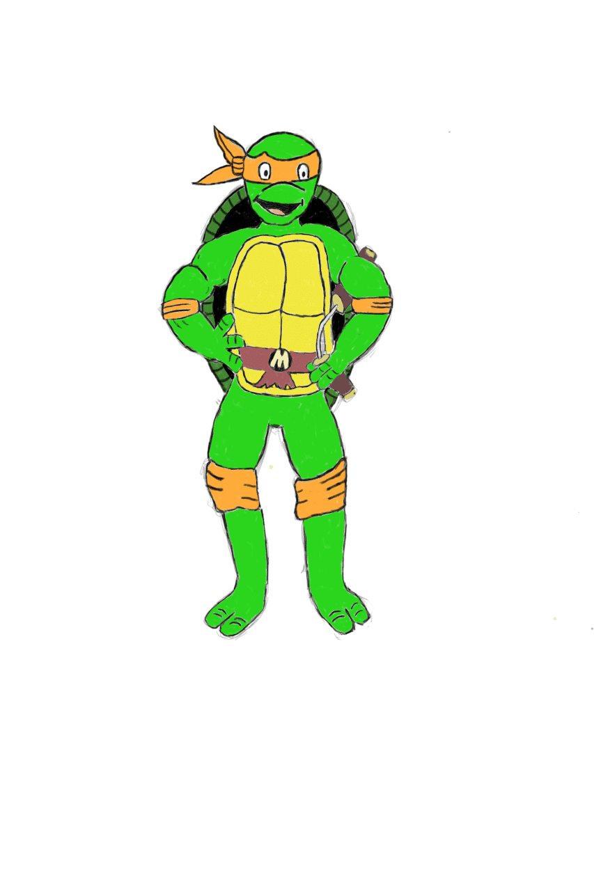 turtle.png