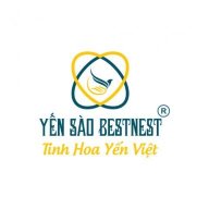 yensaobestnest